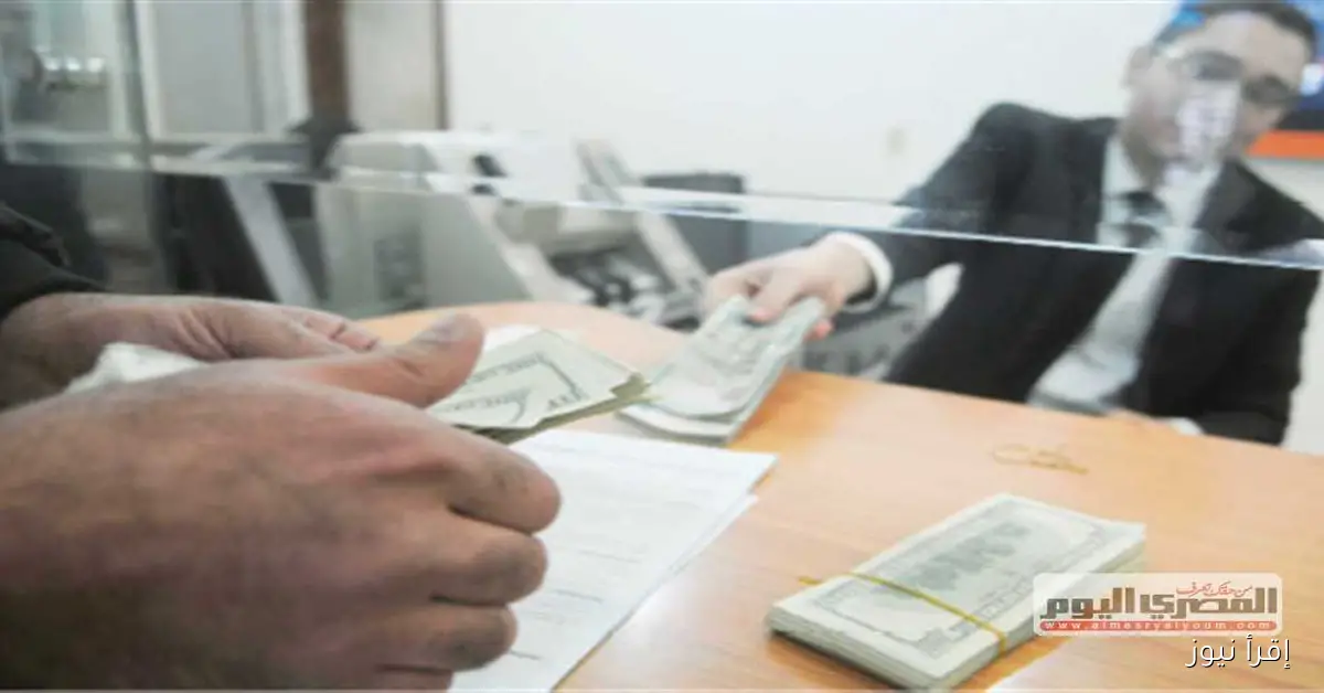 أستاذ اقتصاد: نمو ملحوظ في تحويلات المصريين بالخارج