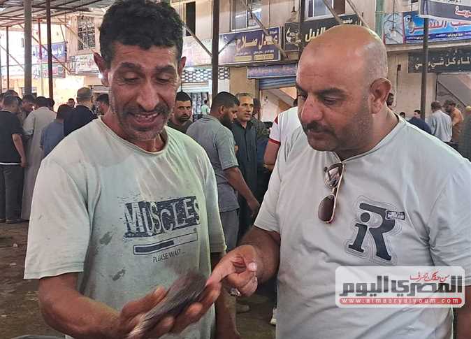 بورصة السمك