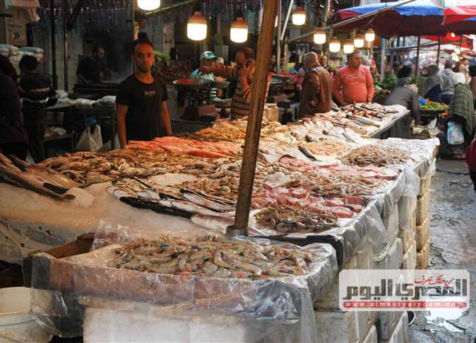 جولة داخل سوق السمك - صورة أرشيفية