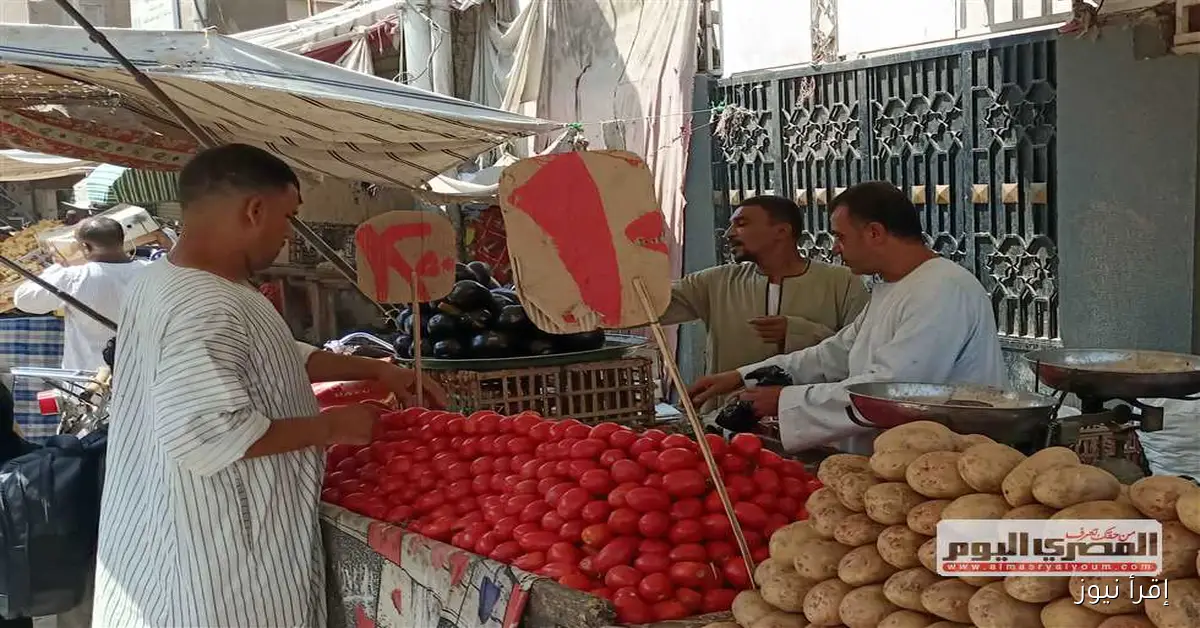 أسعار الخضار اليوم الثلاثاء في مطروح: الجزر بـ25 جنيه