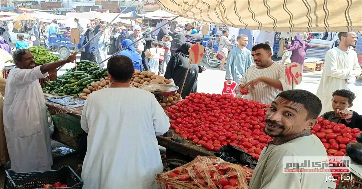 أسعار الخضار في أسواق الإسكندرية اليوم: البطاطس بـ10 جنيهات والبامية بـ50 جنيهًا