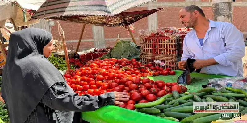 أسعار الخضار في أسواق الإسكندرية اليوم: الطماطم بـ10 جنيهات الخميس 11 سبتمبر 2025