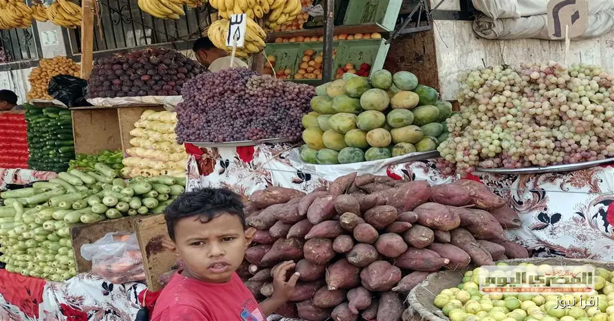 أسعار الخضار في مطروح اليوم الاثنين: البطاطس بـ10 جنيهات