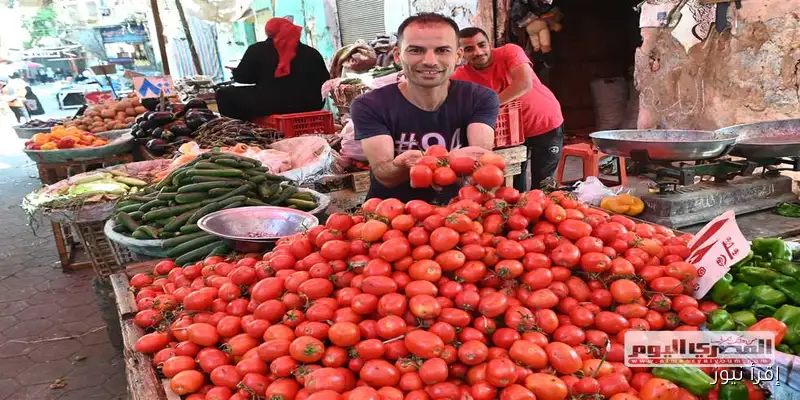 أسعار الخضروات في أسواق الأقصر اليوم السبت 13 سبتمبر 2025