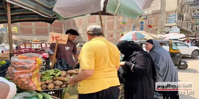أسعار الخضروات في مطروح ليوم الخميس 11 سبتمبر 2025
