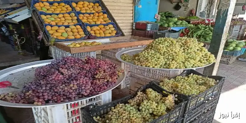 أسعار الخضروات والفاكهة في شمال سيناء اليوم الخميس 11 سبتمبر