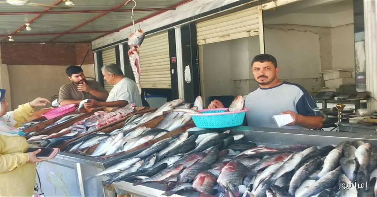 أسعار السمك اليوم في مرسى مطروح: البلطي الأسواني بـ100 جنيه