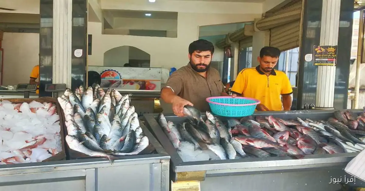 أسعار السمك في مرسى مطروح: الاستاكوزا بـ650 جنيه