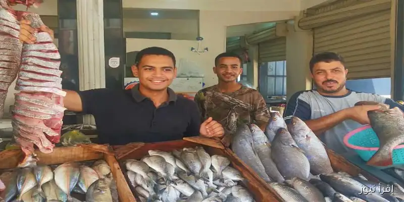أسعار السمك في مطروح اليوم الجمعة
