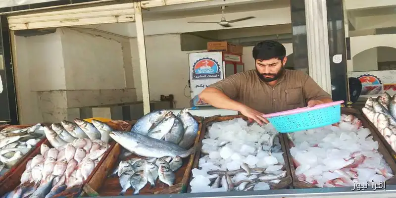 أسعار السمك في مطروح اليوم السبت: اللمبوكة بـ200 جنيه