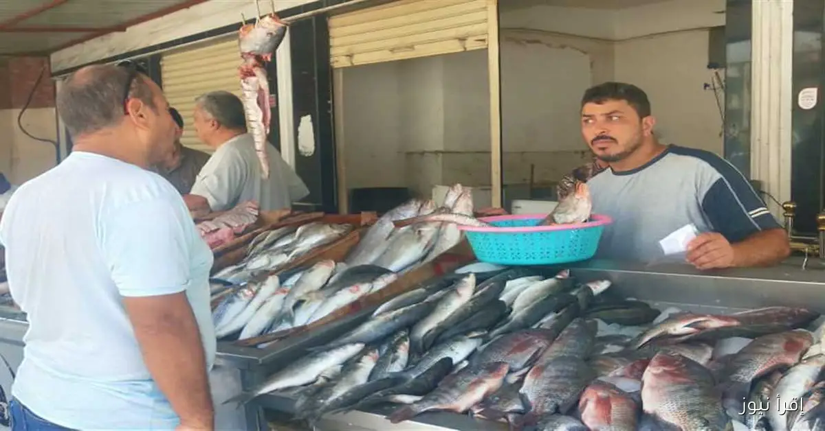 أسعار السمك والكابوريا والجمبري في الأسواق اليوم الخميس 18 سبتمبر 2025