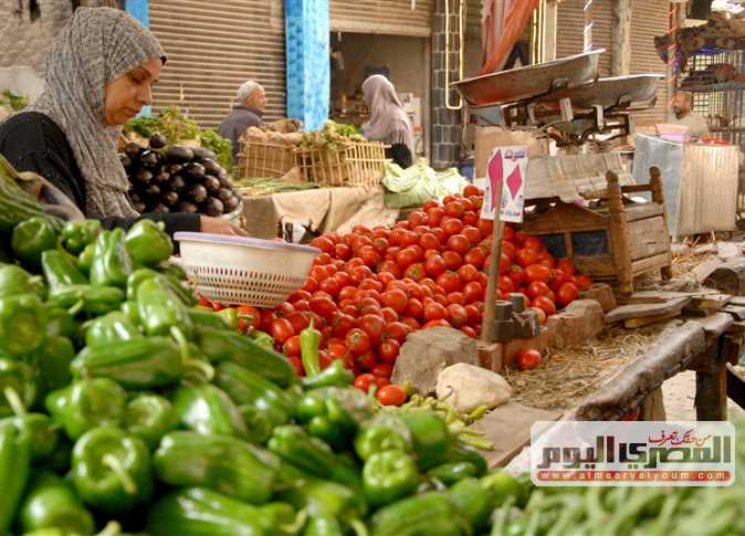 سعر الطماطم في سوق السيدة زينب بالقاهرة