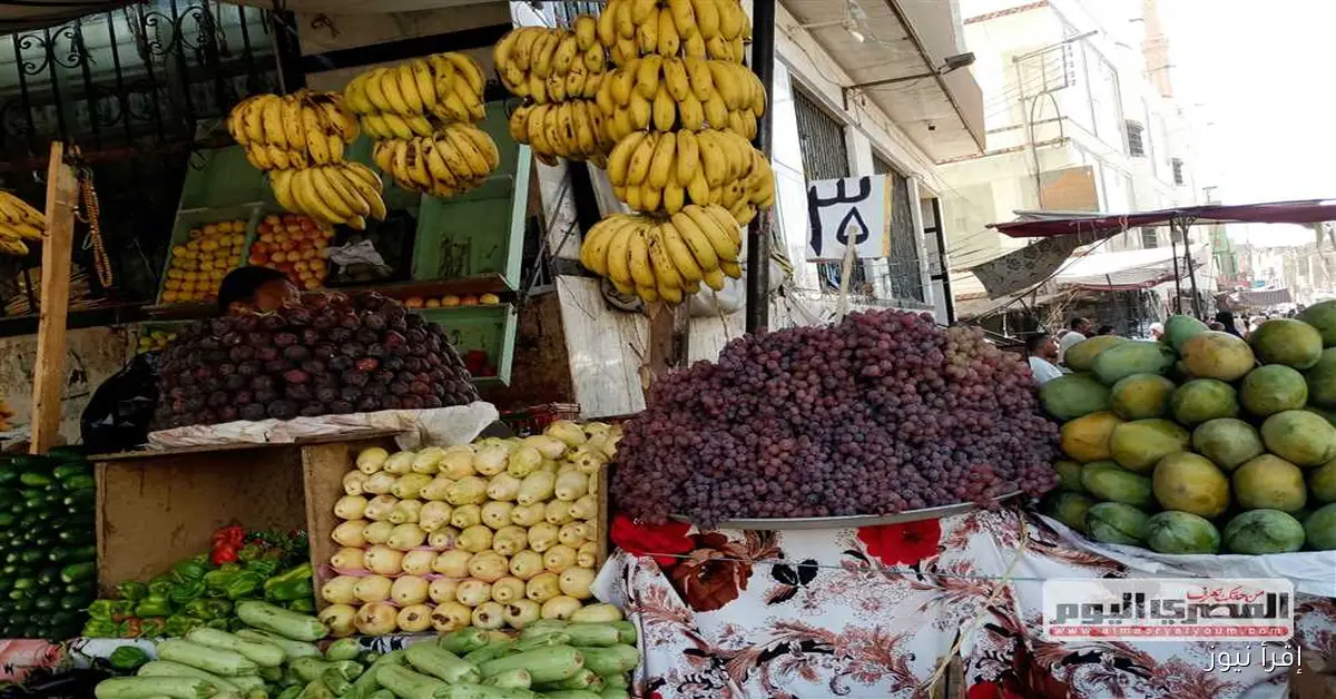 أسعار الفاكهة الصيفية في أسواق الإسكندرية اليوم الأحد 14 سبتمبر 2025
