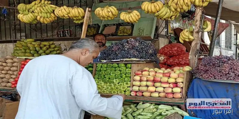 «أسعار الفاكهة في أسواق الإسكندرية اليوم: الجوافة بـ25 جنيهًا والمانجو بـ40»