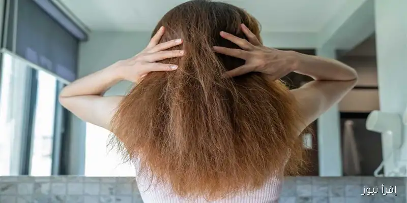 أفضل وصفات بسيطة لعلاج الشعر الهايش والمتقصف