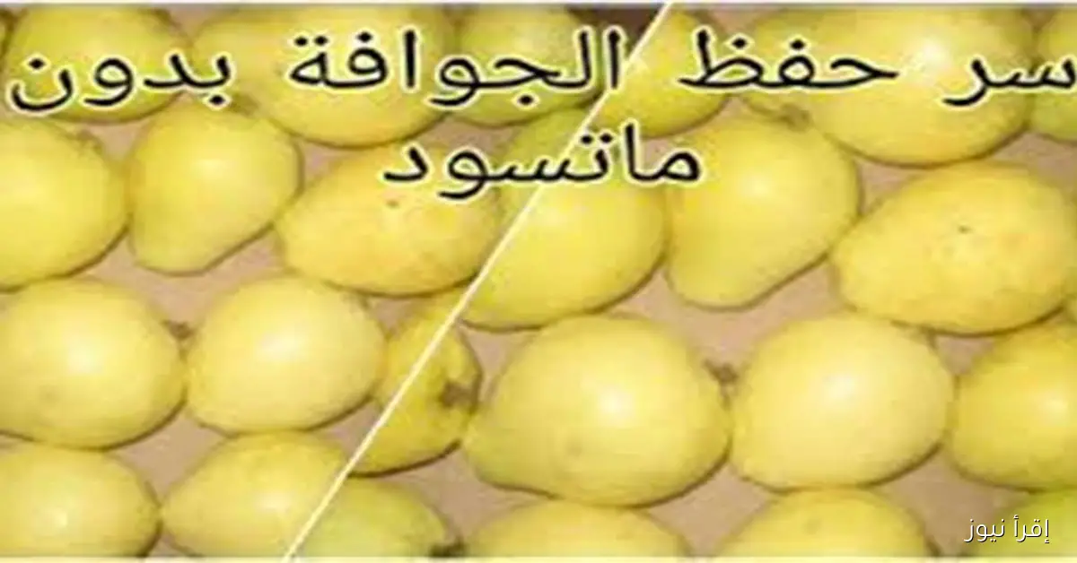 استشاري تغذية يحذر من الإفراط في تناول الجوافة بسبب مخاطر صحية محتملة