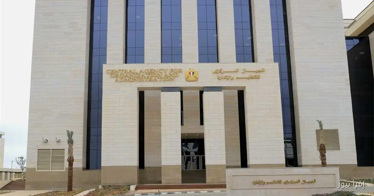 «التنظيم والإدارة» يطلق مسابقة للتعاقد مع 964 معلمًا مساعدًا في الحاسب الآلي بالأزهر الشريف