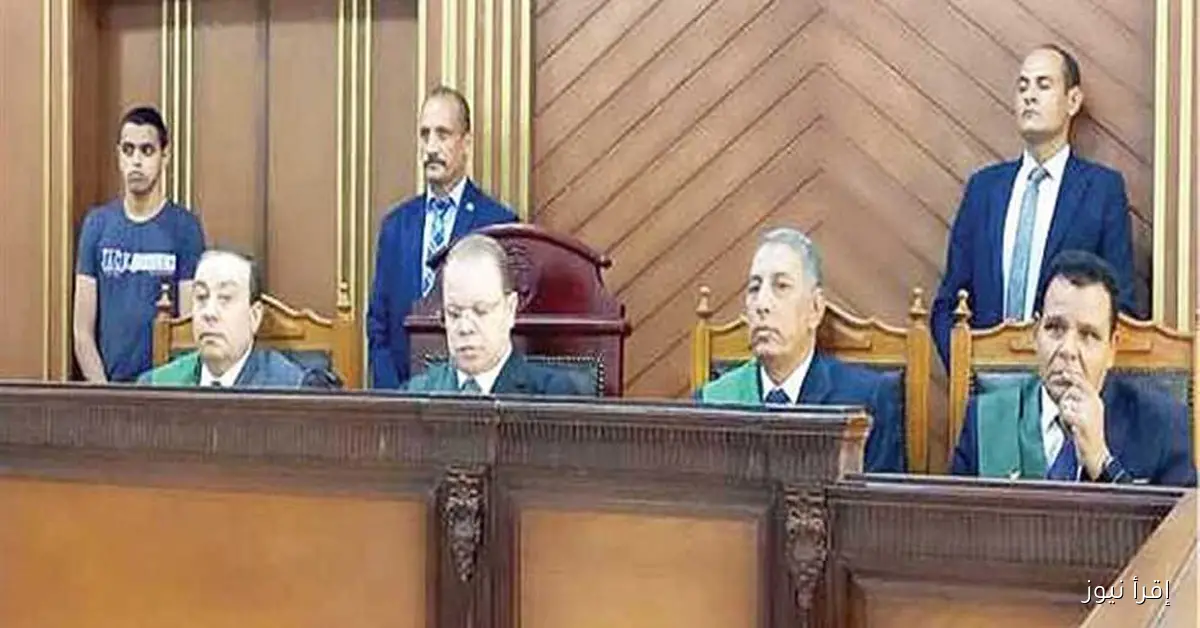الحكم في استئناف 4 متهمين بقضية “خلية حدائق القبة” يوم 14 أكتوبر