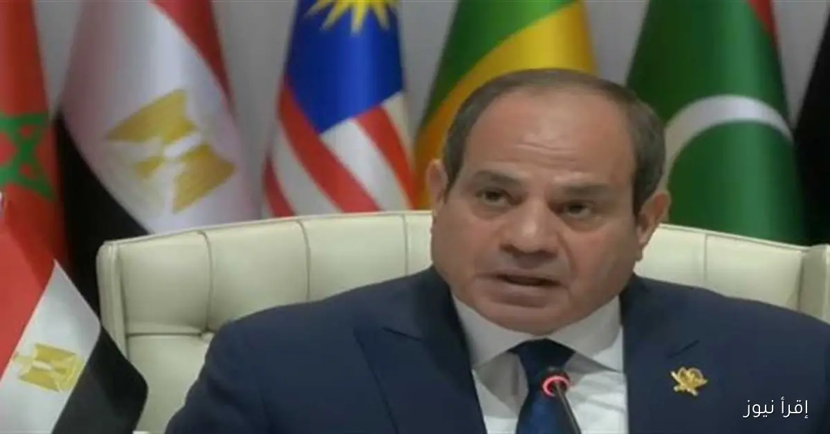 السيسي يؤكد أن أمن إسرائيل يعتمد على احترام سيادة الدول العربية والإسلامية بدلاً من القوة