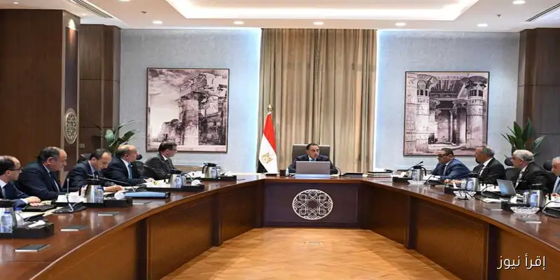 المركز الإعلامي لمجلس الوزراء يستعرض رؤية الدولة للأمن الغذائي من أجل مستقبل مستدام (فيديو)