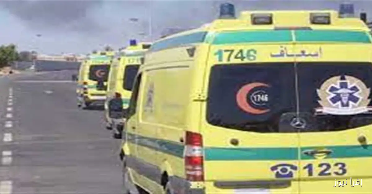 انقلاب ميكروباص في طريق أسيوط الغربي بالفيوم يؤدي إلى إصابة 10 أشخاص