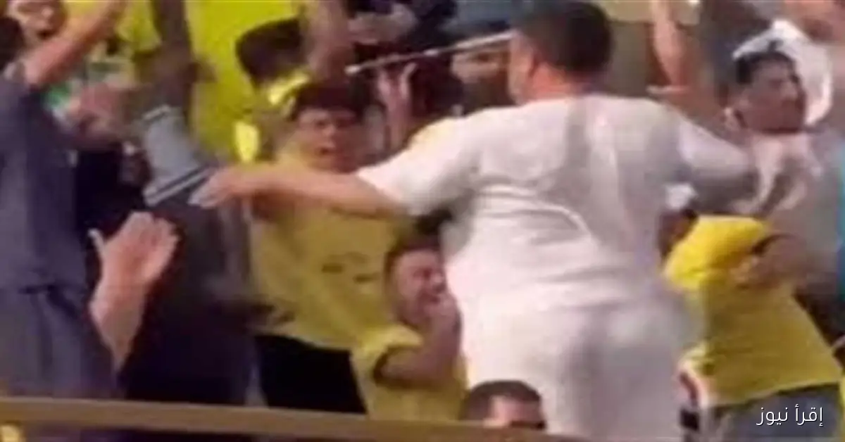 تأجيل محاكمة مشجع “مالية كفر الزيات” بعد دفع كفالة بسبب واقعة خلع ملابسه في المدرجات