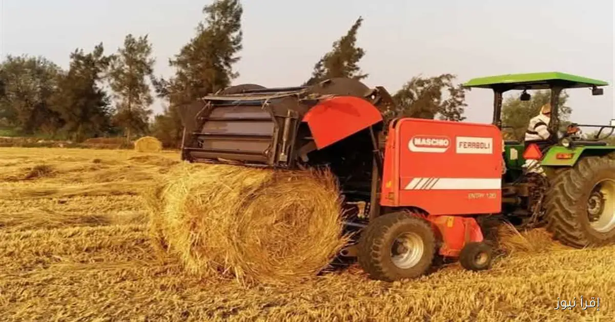 تجميع 12700 طن من قش الأرز في الشرقية لمكافحة السحابة السوداء منذ بدء الحصاد