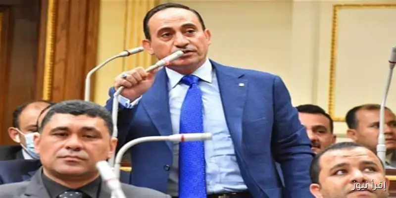 تحرك برلماني لمناقشة زيادة أسعار توصيل الغاز الطبيعي في إدكو بالبحيرة