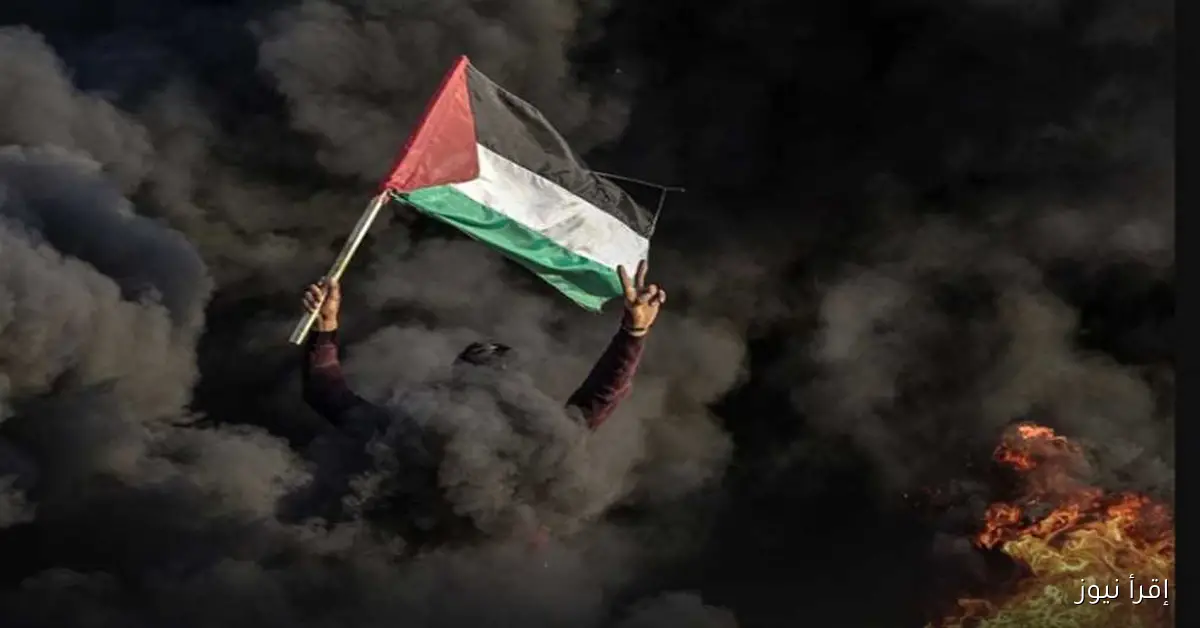 تحليل تأثير اعتراف بريطانيا وكندا وأستراليا بالدولة الفلسطينية: آراء خبراء في إقرأ نيوز