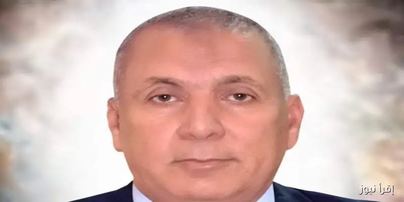تطبيق نظام جديد للإعلانات في الوادي الجديد لمنع اللافتات غير المرخصة
