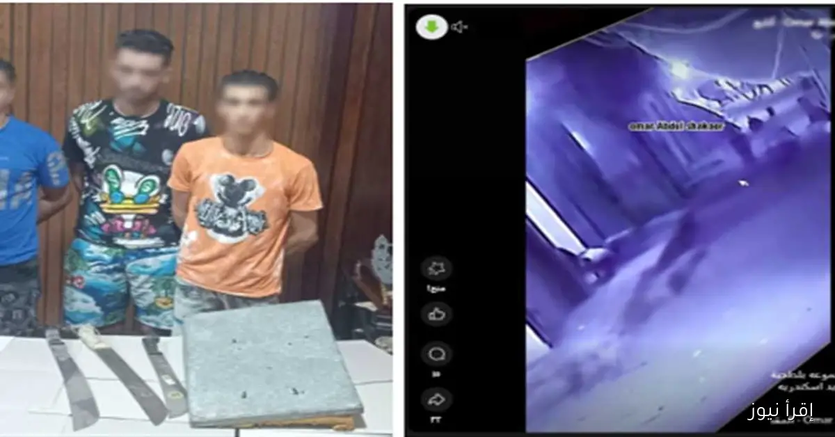«تفاصيل مشاجرة الإسكندرية بعد انتشار فيديو السلاح الأبيض»