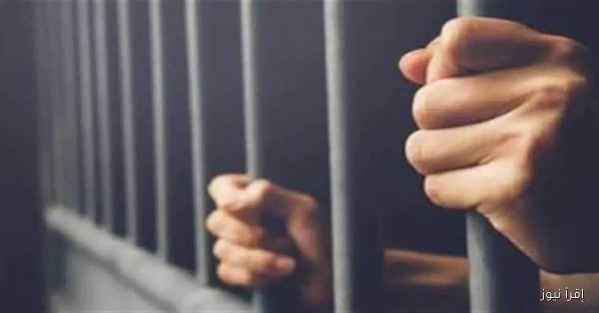 حكم بالسجن 10 سنوات على 9 متهمين بتهمة خطف طفل وطلب فدية في قنا