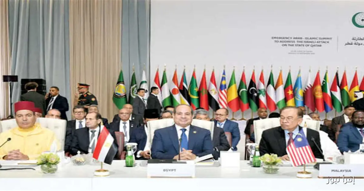 خبير عسكري: إمكانية تشكيل «القوة العربية المشتركة» تتطلب إرادة قوية