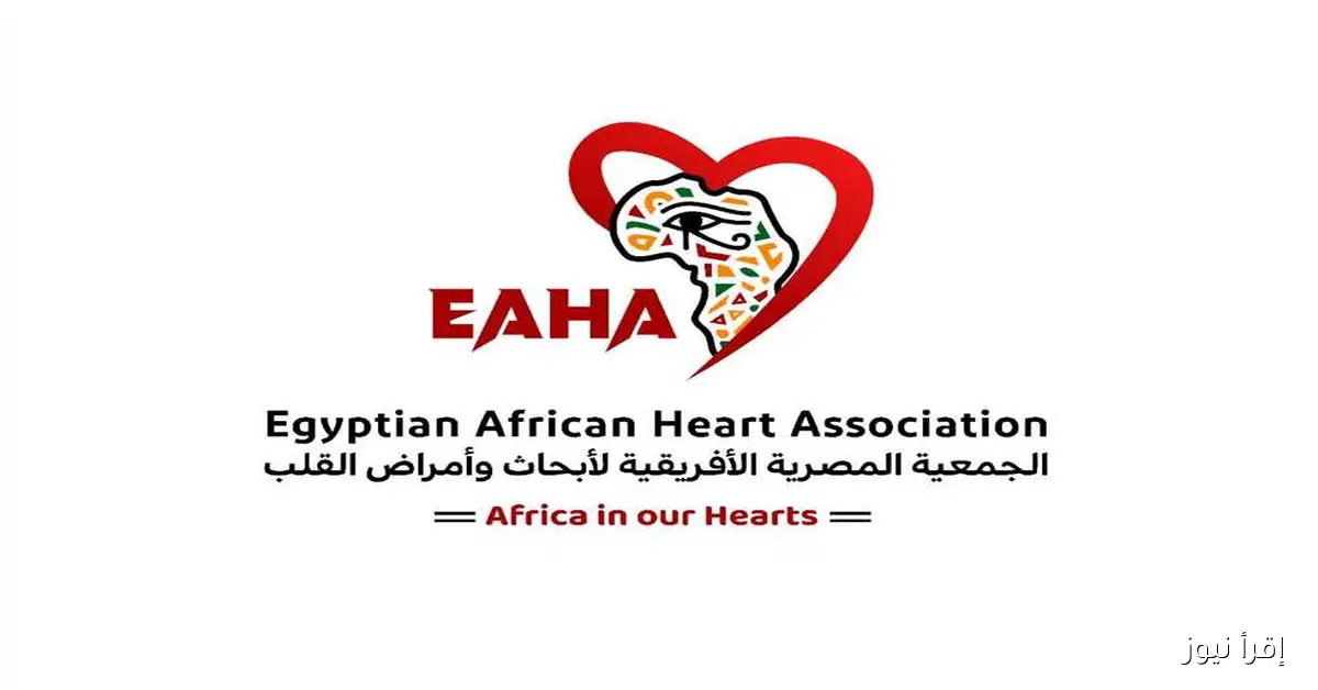 رئيس زنجبار يلتقي بوفد الجمعية المصرية الإفريقية والجامعة العربية لتعزيز التعاون في المجال الطبي