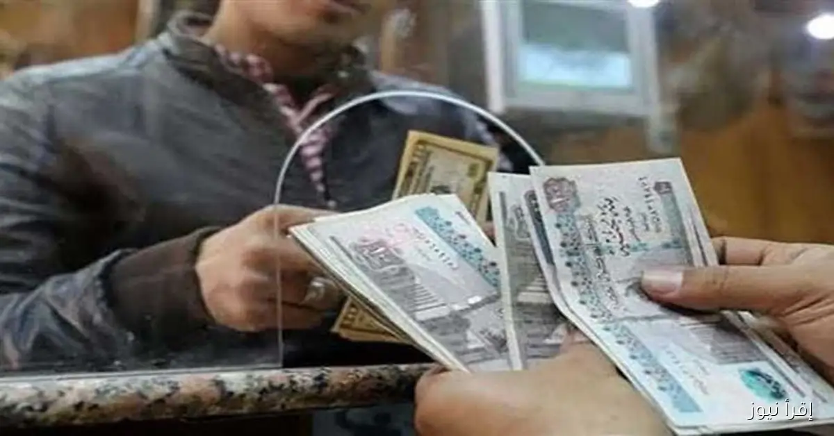 زيادة 15% في معاشات المعلمين 2025: موعد صرف المعاشات لجميع الشرائح