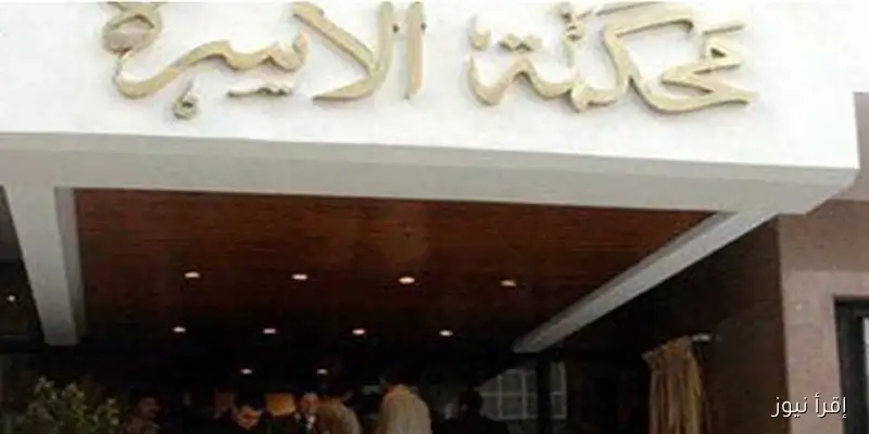 سيدة تطالب بإثبات زواج عرفي من ابن خالتها بعد أن أنكرها أثناء حملها، وشهادة صديقتها تعزز موقفها