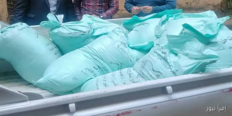 ضبط 10 أطنان من الدقيق المدعم خلال حملة رقابية في القاهرة