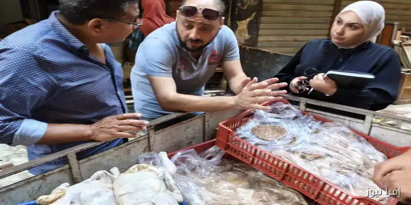 ضبط أكثر من 50 كيلو من الدواجن غير المصرح بها خلال حملة تفتيشية في مدينة بورفؤاد