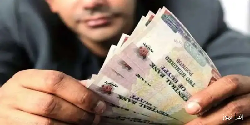 عائد يصل إلى 27% في السنة الأولى: أعلى عائد تراكمي لشهادة الادخار الرباعية بعد قرار البنك المركزي