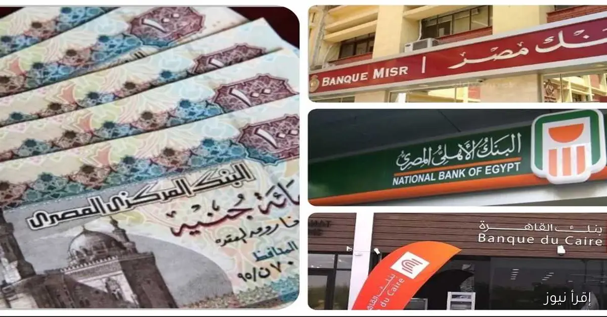 قائمة بأعلى شهادات الادخار في البنوك بعد قرار المركزي: كم ستكون أرباح 100 ألف شهريًا؟