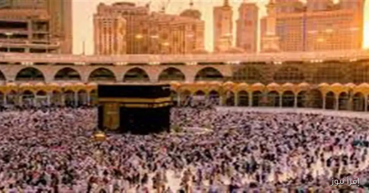 قبل موسم الحج 2026: غرفة السياحة تقدم خطوات التعرف على الشركات المعتمدة من الوزارة