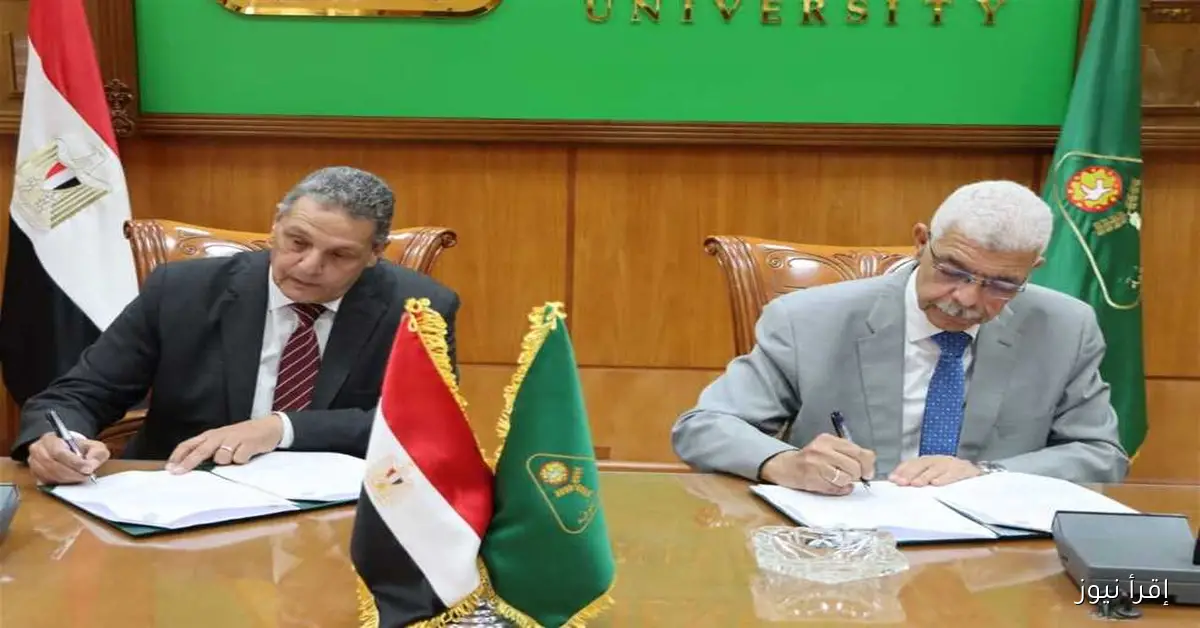 كلية الطب بجامعة المنوفية تستعد لاستقبال طلاب الدفعة 45 من خلال تنظيم دورة تمهيدية