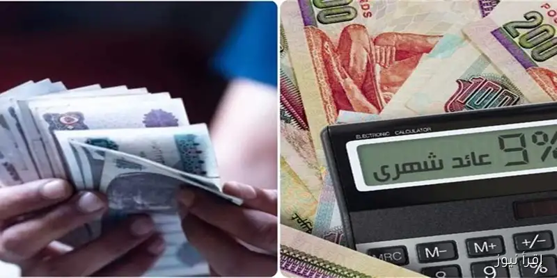 كيف تحقق أرباحًا تصل إلى 100 ألف شهريًا؟ إليك قائمة بأفضل شهادات الادخار في البنوك بعد قرار البنك المركزي