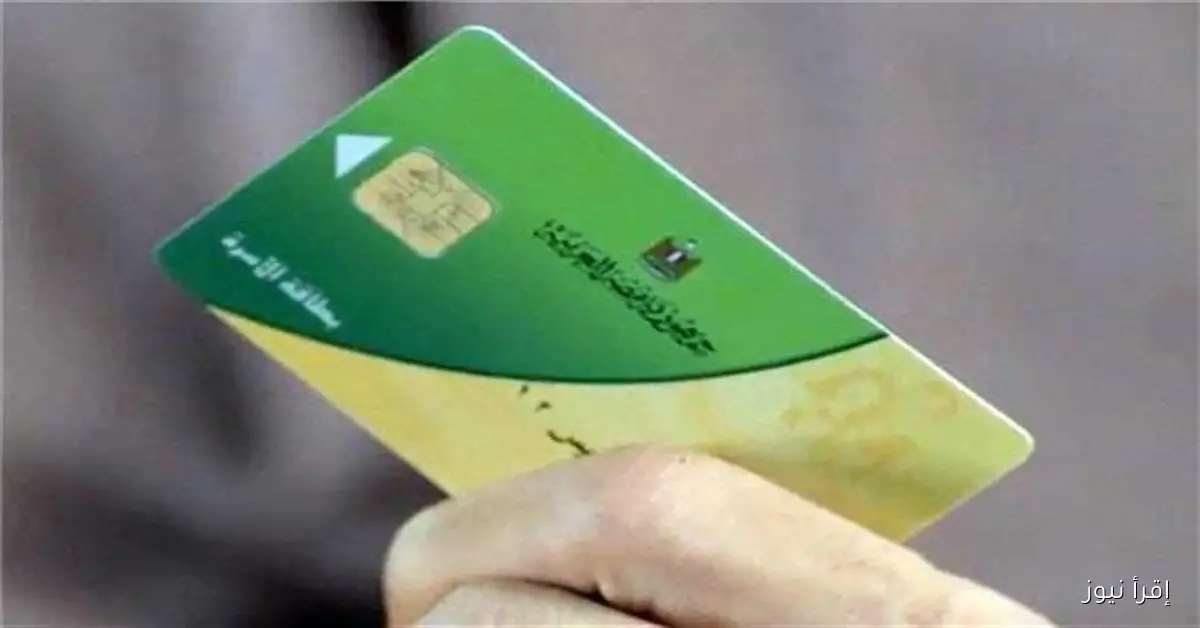 كيفية تحديث بيانات بطاقات التموين في محافظة بورسعيد مع الرابط الرسمي