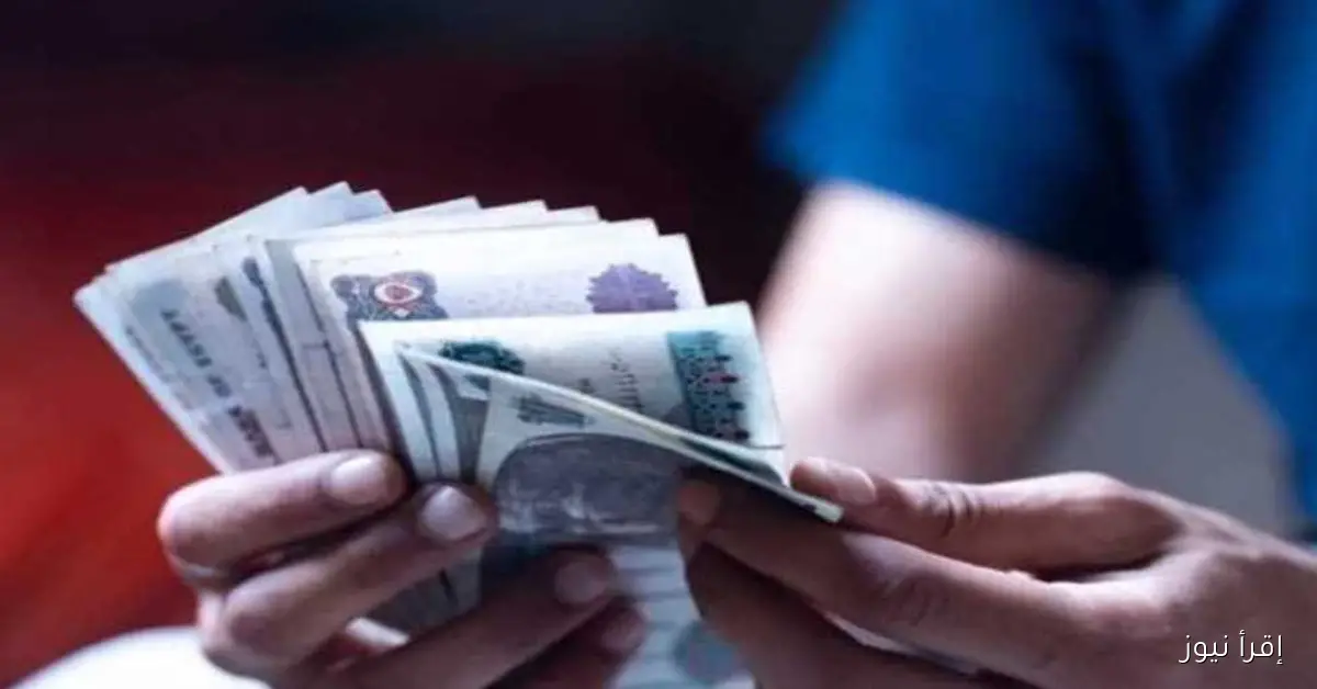 مرتب ثابت 5125 جنيه شهريًا: أرباح مرتفعة على شهادات بنك مصر تصل إلى 300 ألف جنيه