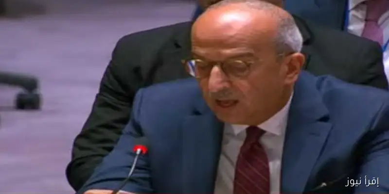 مصر تؤكد في مجلس الأمن: الاستقرار في الشرق الأوسط يتطلب إقامة دولة فلسطينية مستقلة