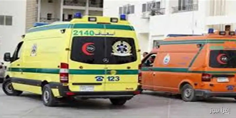 مصرع ثلاثة أشخاص في حادث تصادم سيارتي نقل على طريق إدفو مرسى علم
