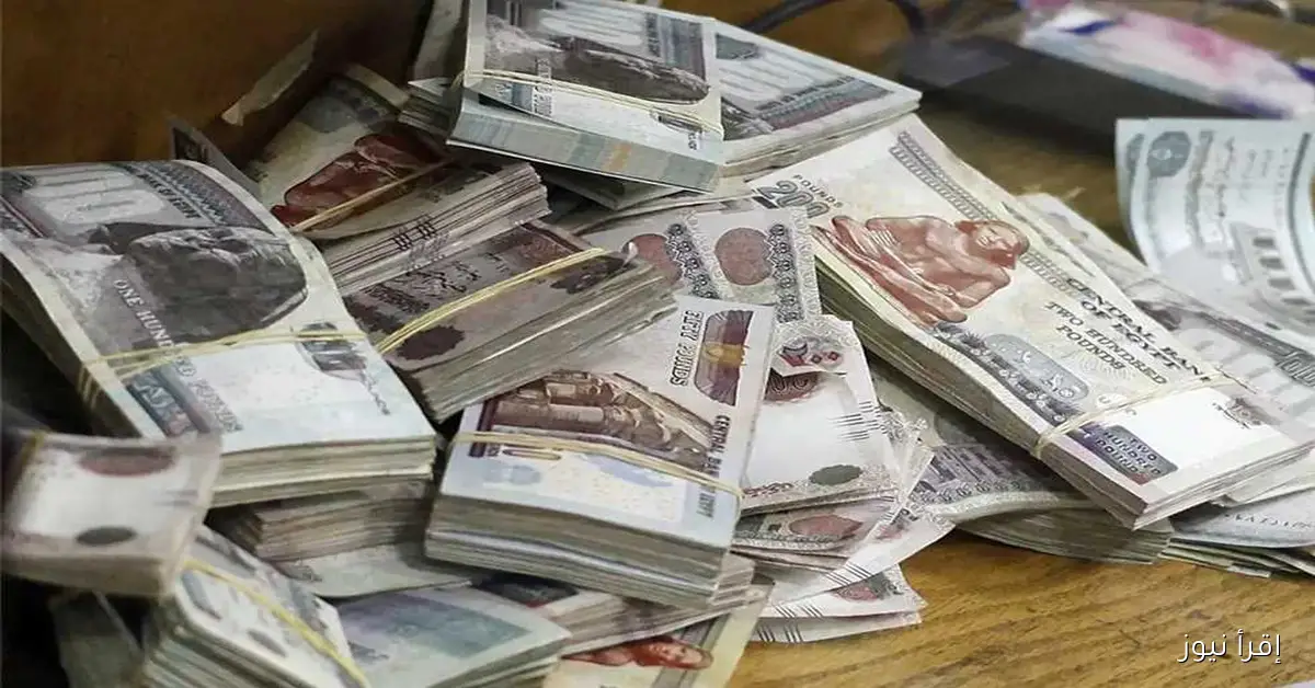 موعد صرف معاشات أكتوبر 2025: كل التفاصيل وجدول الصرف الرسمي من التأمينات