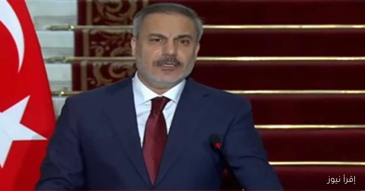 وزير الخارجية التركي: الرئيس السيسي يعمل بجد من أجل مستقبل أفضل لمصر
