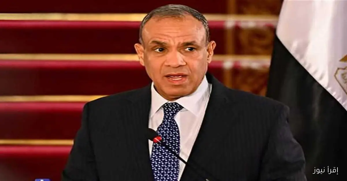 وزير الخارجية: مصر تواجه تحديات استراتيجية غير مسبوقة من جميع الاتجاهات